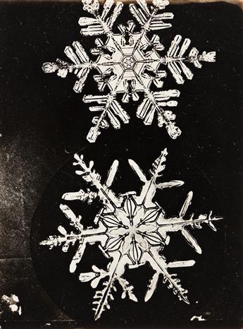 WILSON A. SNOWFLAKE BENTLEY (1865-1931) A group of two snow crystals and a frost study.